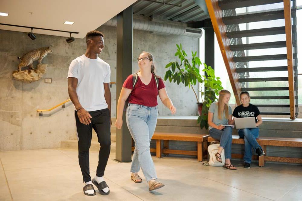 Students walking